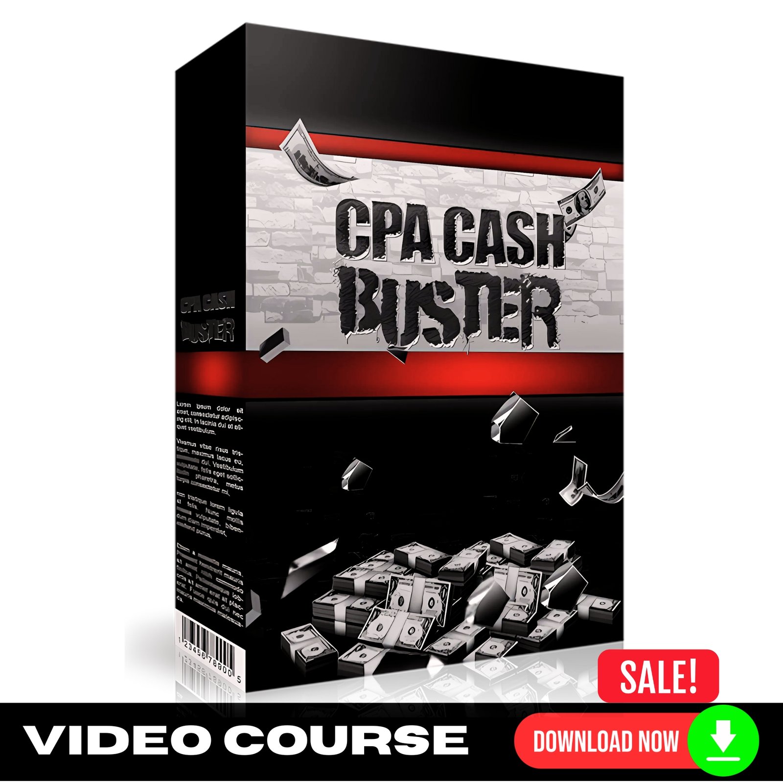 CPA Cash Buster (Training Videos)