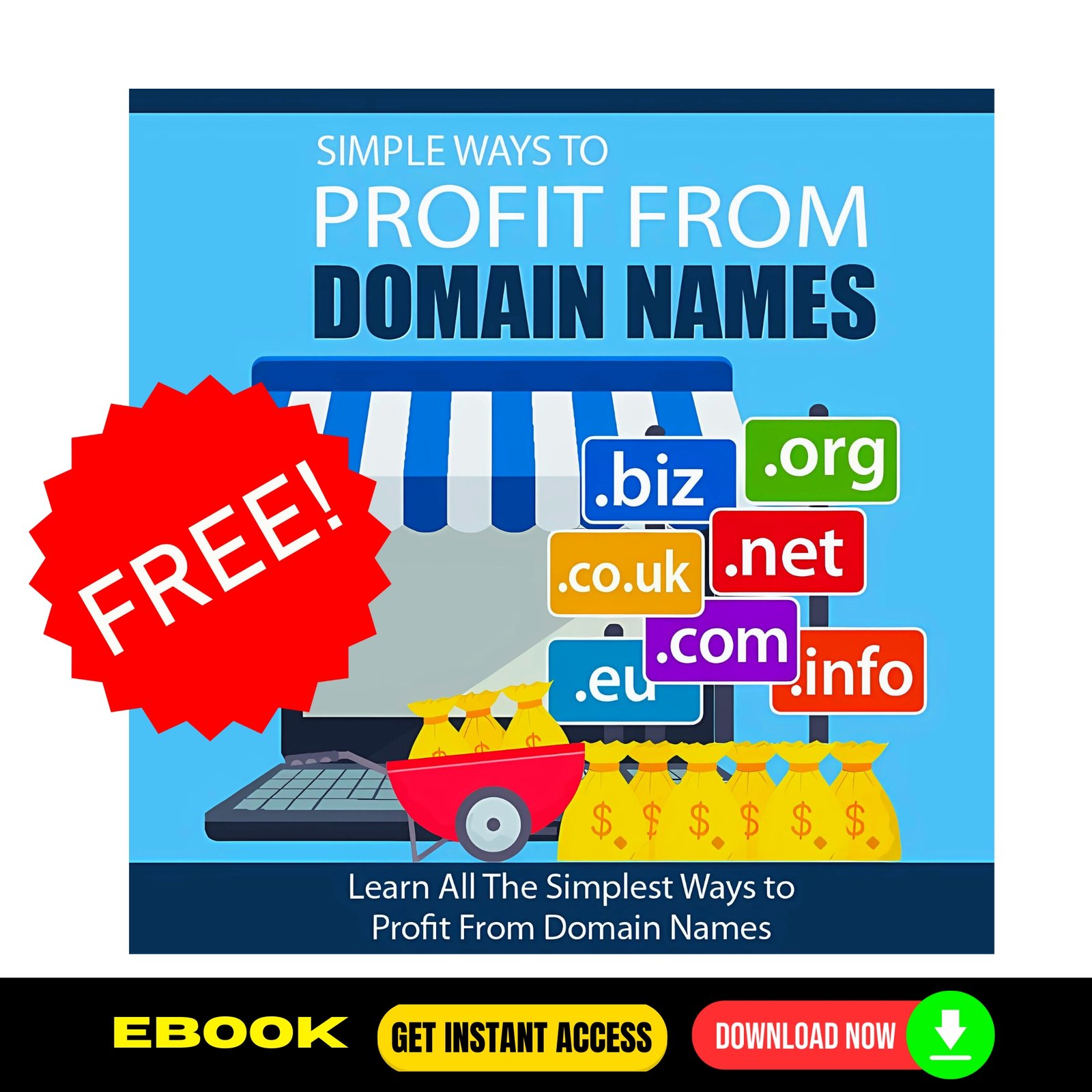 Simple Ways To Profit From Domain Names (FREE eBook)